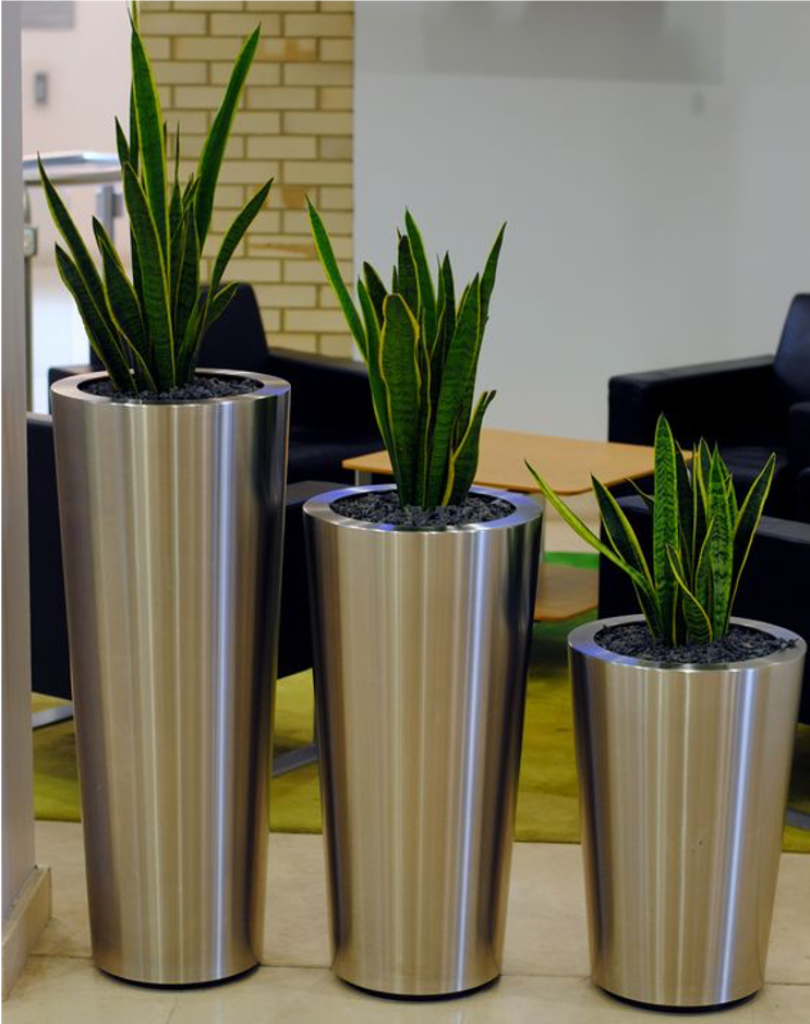 BONNET STEEL PLANTER
