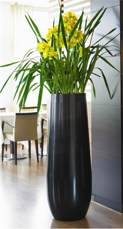 CAPE PLANTER