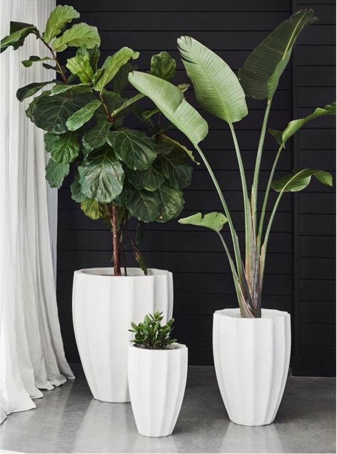 IMPERIAL PLANTER